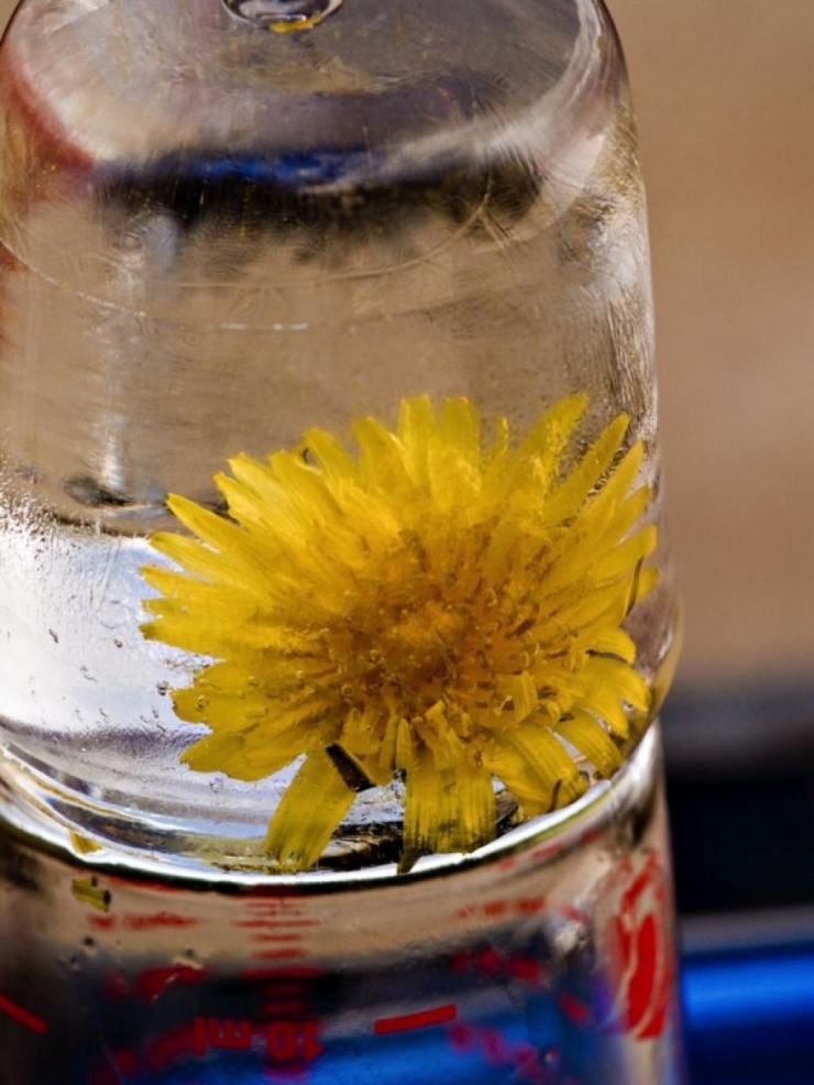 Illustration de l'article : 6 produits qu'il est tout &agrave; fait facile de congeler pour gagner du temps ! L'avant dernier est top pour l'&eacute;t&eacute;...