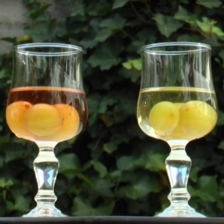 Illustration de l'article : 6 produits qu'il est tout &agrave; fait facile de congeler pour gagner du temps ! L'avant dernier est top pour l'&eacute;t&eacute;...