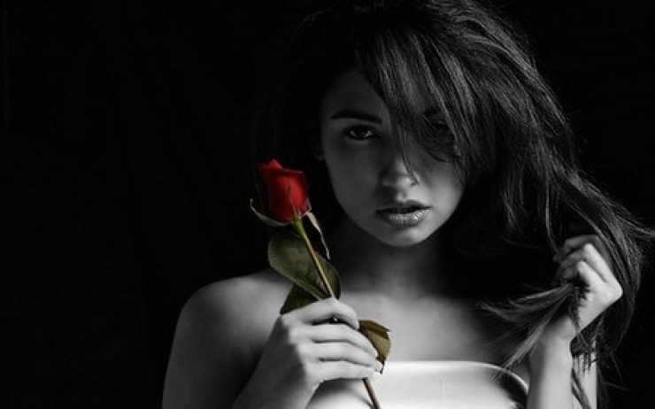 Illustration de l'article :  Il vous faut absolument un G&eacute;meaux dans votre vie ! C'est indispensable pour ces 10 raisons... 