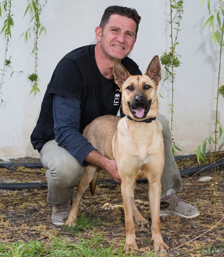 Illustration de l'article : Maltrait&eacute; et tr&egrave;s mal en point, regardez la magnifique transformation de ce pauvre chien, gr&acirc;ce &agrave; l&rsquo;amour de cet homme !