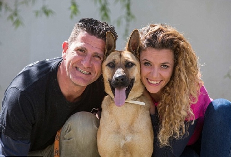 Illustration de l'article : Maltrait&eacute; et tr&egrave;s mal en point, regardez la magnifique transformation de ce pauvre chien, gr&acirc;ce &agrave; l&rsquo;amour de cet homme !