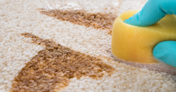 Illustration de l'article : Vous connaissiez ces 18 astuces &agrave; faire avec du dentifrice ? Sympa le truc des piq&ucirc;res...