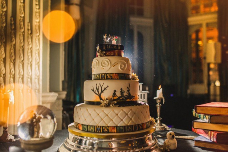 Illustration de l'article : Grand fan de Harry Potter, ce couple voulait absolument d’un mariage à thème magique !