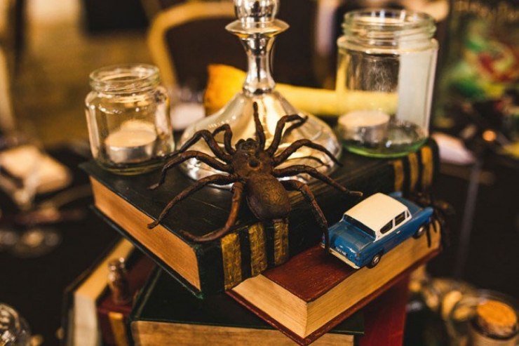 Illustration de l'article : Grand fan de Harry Potter, ce couple voulait absolument d’un mariage à thème magique !