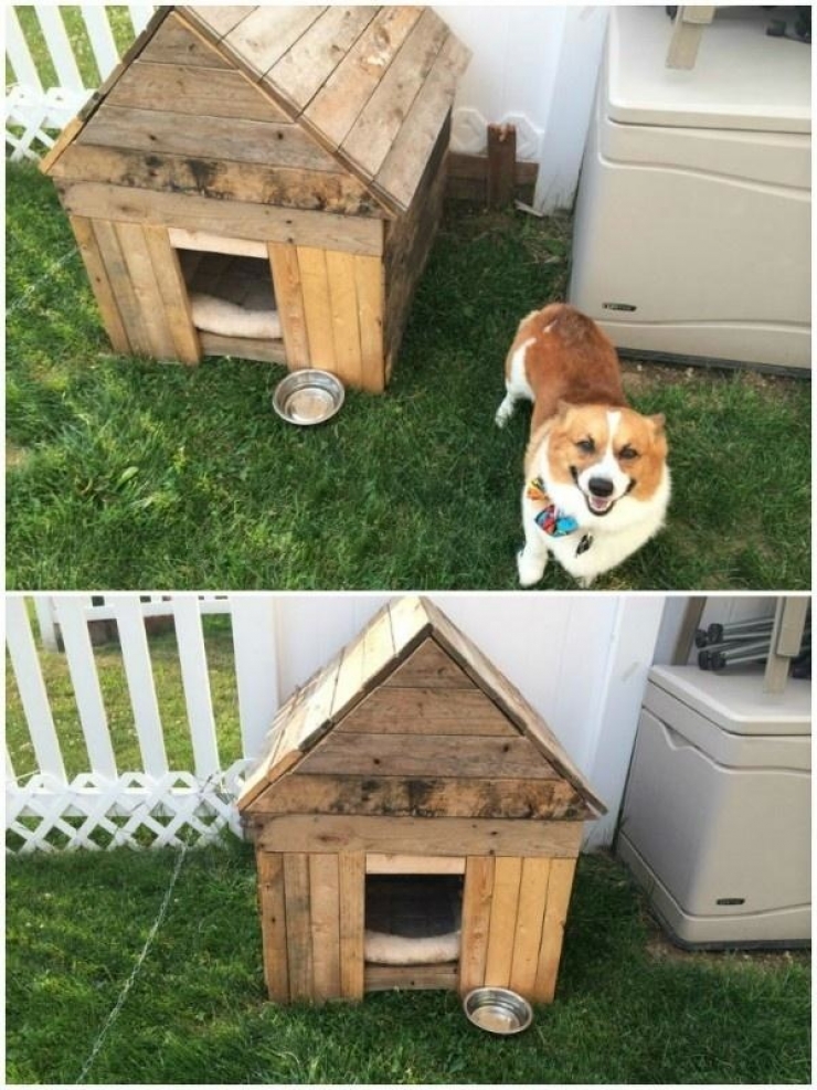 Illustration de l'article : Cette palette sale n'a l'air de rien mais quand vous verrez ceci, vous tiendrez &agrave; vous installer dessus !