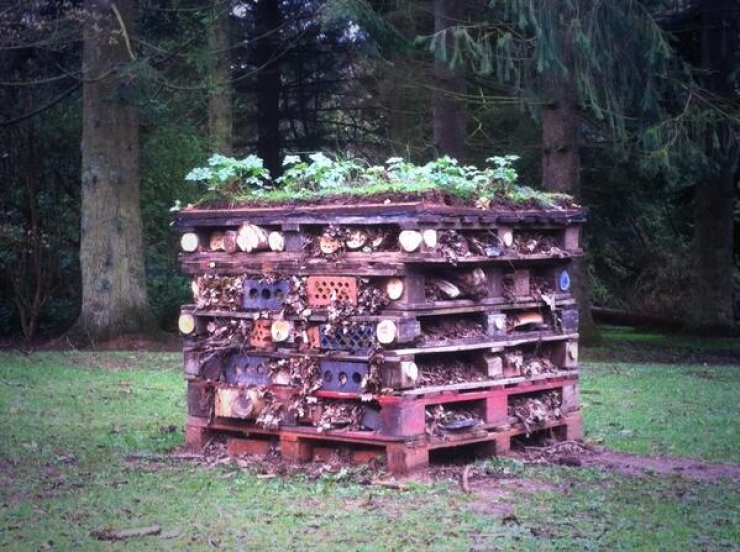 Illustration de l'article : Cette palette sale n'a l'air de rien mais quand vous verrez ceci, vous tiendrez &agrave; vous installer dessus !