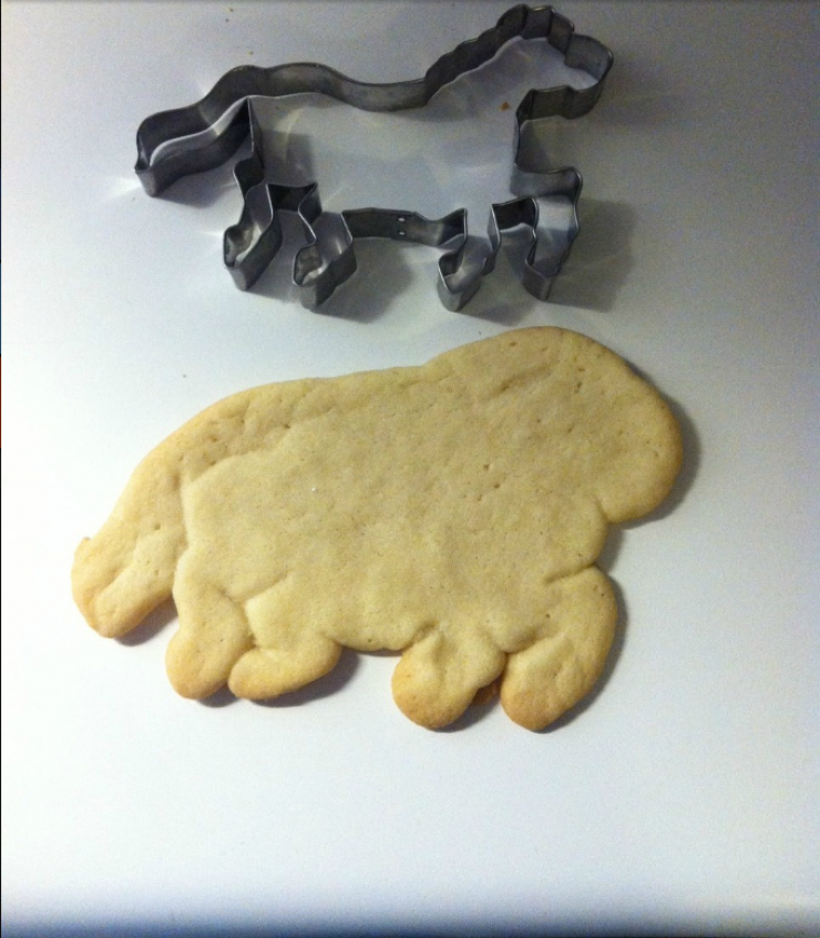 Illustration de l'article : Pub vs Réalité : quand rien ne se passe comme prévu…