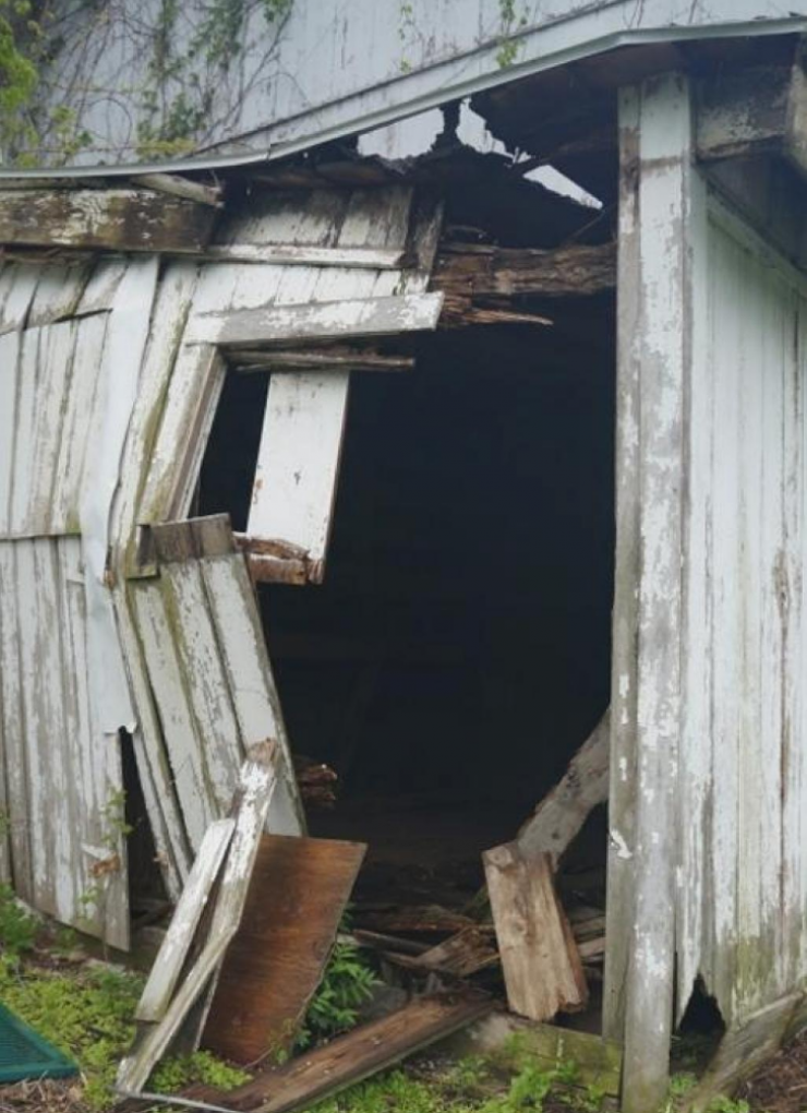 Illustration de l'article : Elle d&eacute;truit la moiti&eacute; de son mur afin de le remplacer par ceci ! Et toute la famille en raffole...