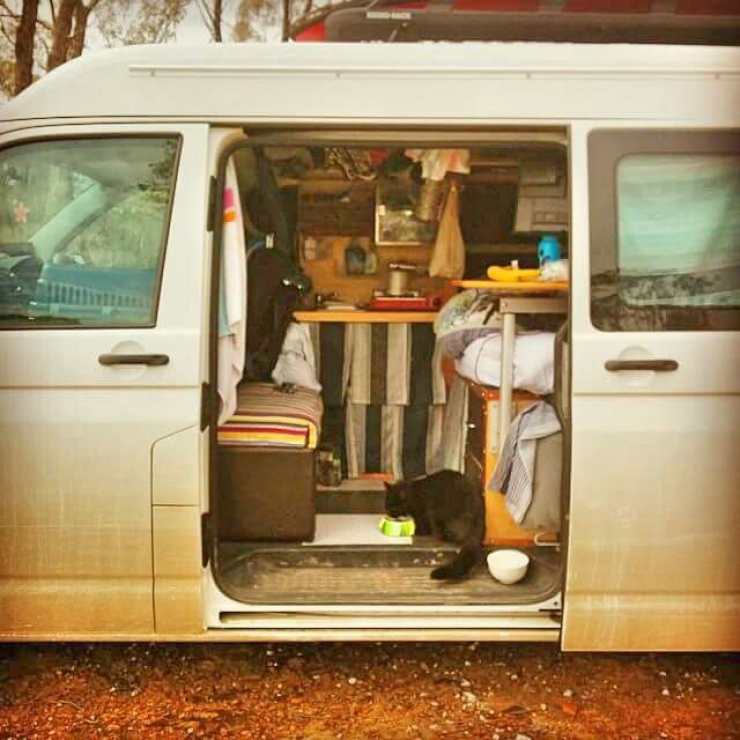 Illustration de l'article : Cet homme a TOUT plaqu&eacute; pour voyager en van autour de l'Australie... Avec son chat !