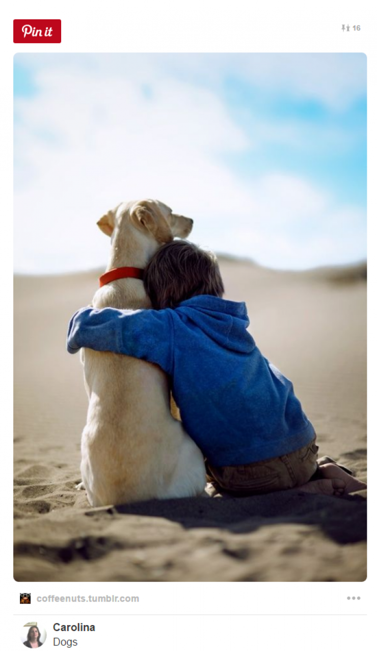 Illustration de l'article : Tous ceux qui pensent que les enfants ne devraient pas avoir d'animaux doivent voir ces 26 photos...