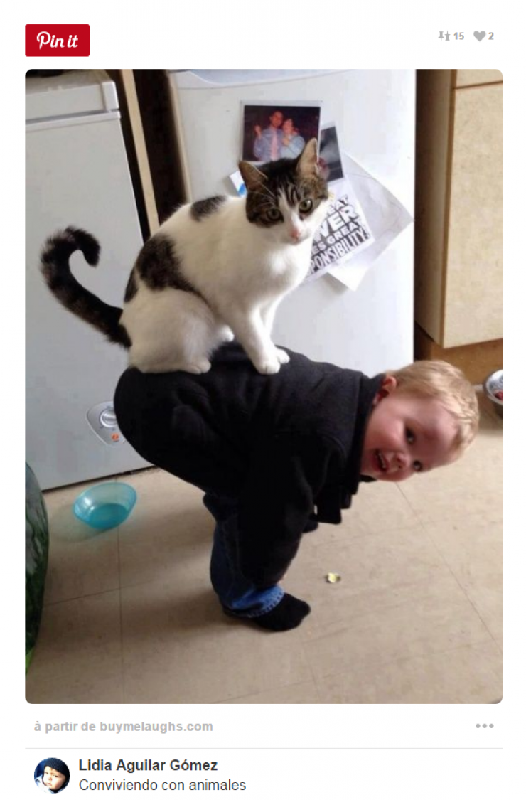 Illustration de l'article : Tous ceux qui pensent que les enfants ne devraient pas avoir d'animaux doivent voir ces 26 photos...