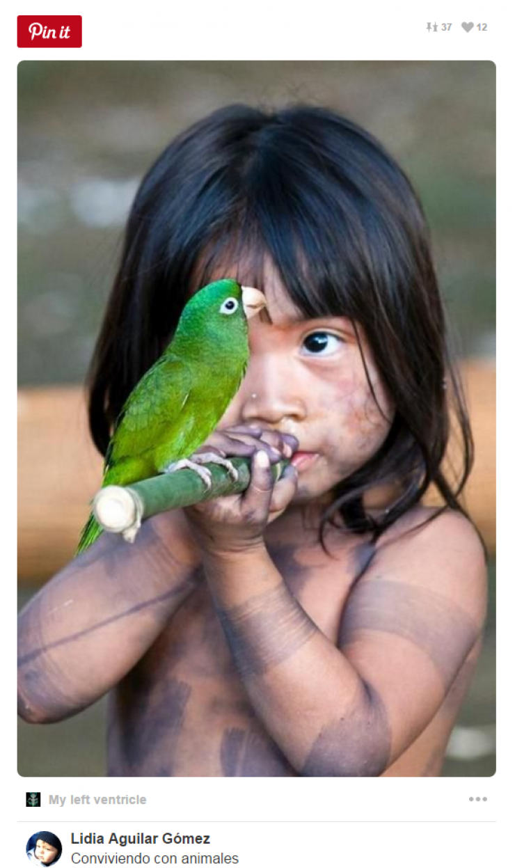 Illustration de l'article : Tous ceux qui pensent que les enfants ne devraient pas avoir d'animaux doivent voir ces 26 photos...