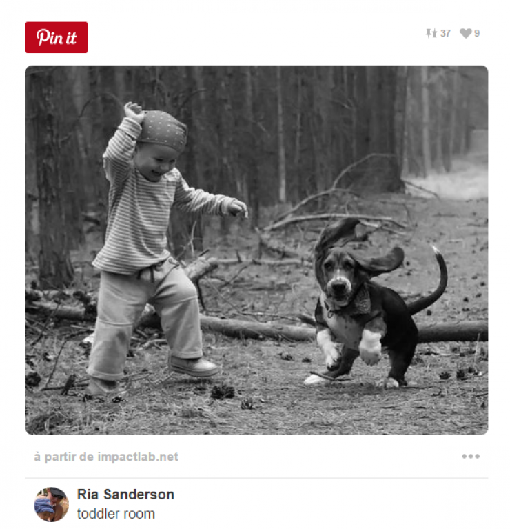 Illustration de l'article : Tous ceux qui pensent que les enfants ne devraient pas avoir d'animaux doivent voir ces 26 photos...
