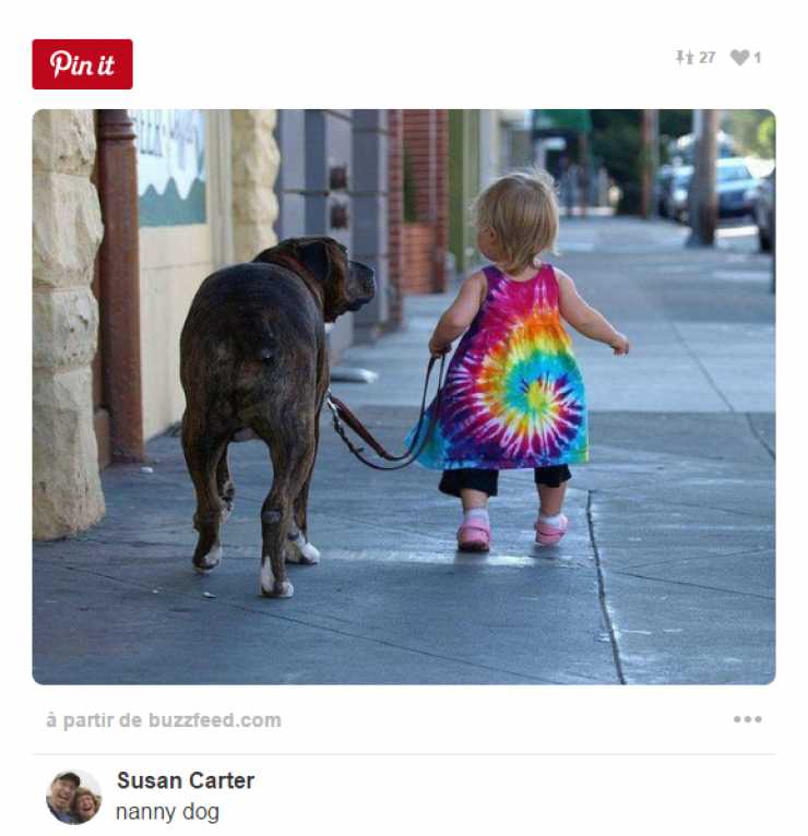 Illustration de l'article : Tous ceux qui pensent que les enfants ne devraient pas avoir d'animaux doivent voir ces 26 photos...