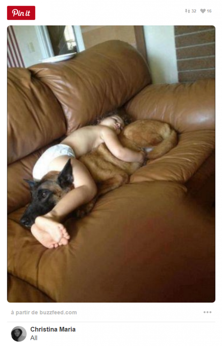 Illustration de l'article : Tous ceux qui pensent que les enfants ne devraient pas avoir d'animaux doivent voir ces 26 photos...