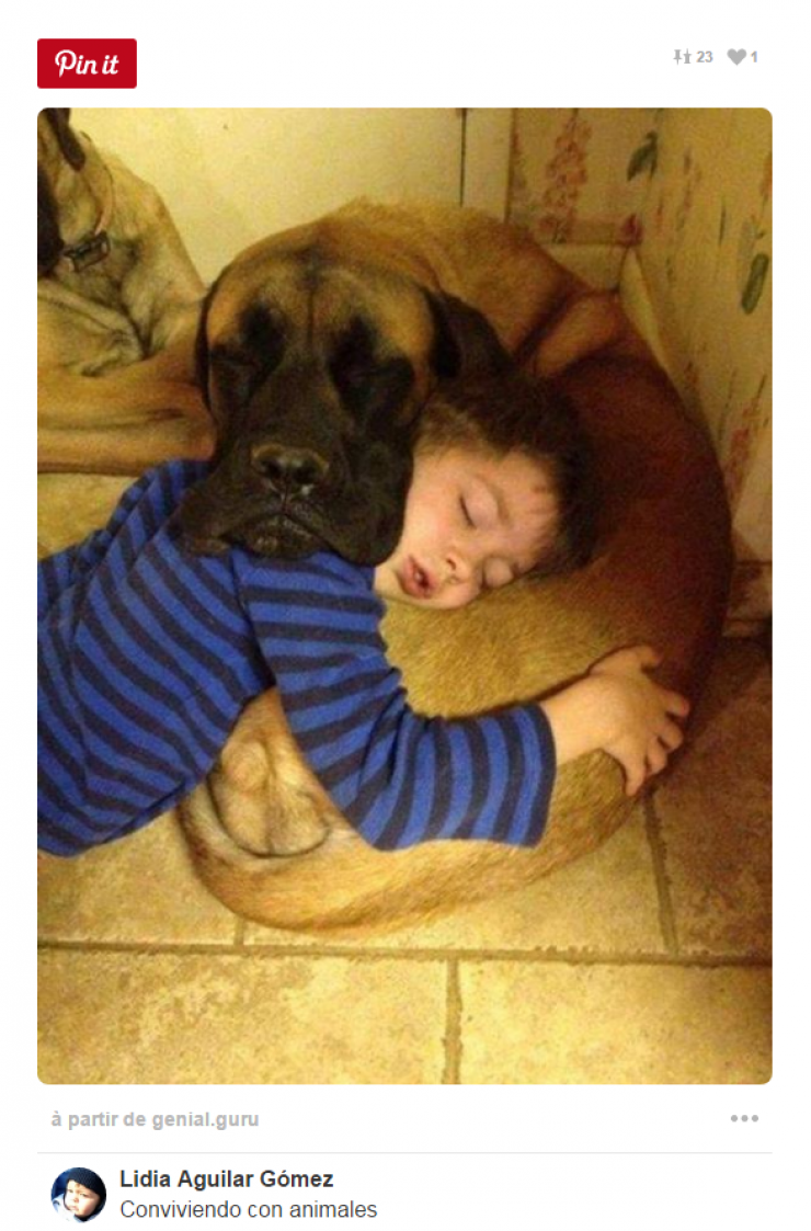 Illustration de l'article : Tous ceux qui pensent que les enfants ne devraient pas avoir d'animaux doivent voir ces 26 photos...