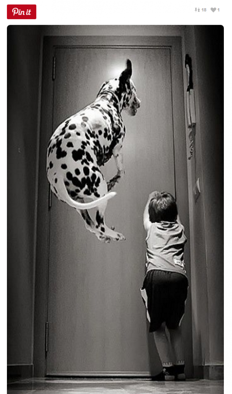 Illustration de l'article : Tous ceux qui pensent que les enfants ne devraient pas avoir d'animaux doivent voir ces 26 photos...