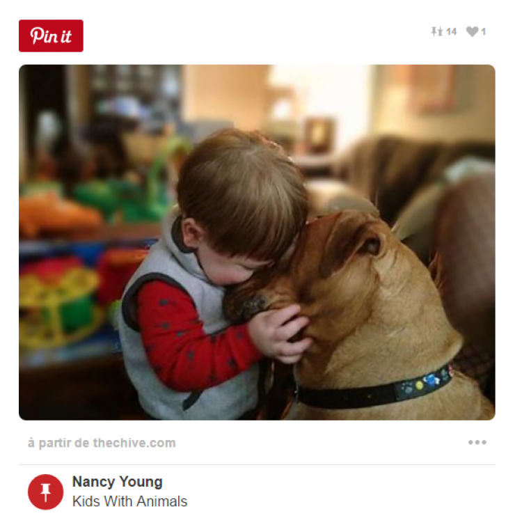 Illustration de l'article : Tous ceux qui pensent que les enfants ne devraient pas avoir d'animaux doivent voir ces 26 photos...