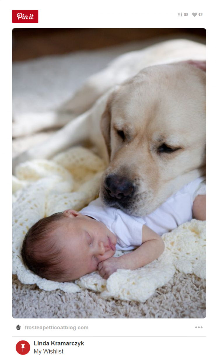 Illustration de l'article : Tous ceux qui pensent que les enfants ne devraient pas avoir d'animaux doivent voir ces 26 photos...