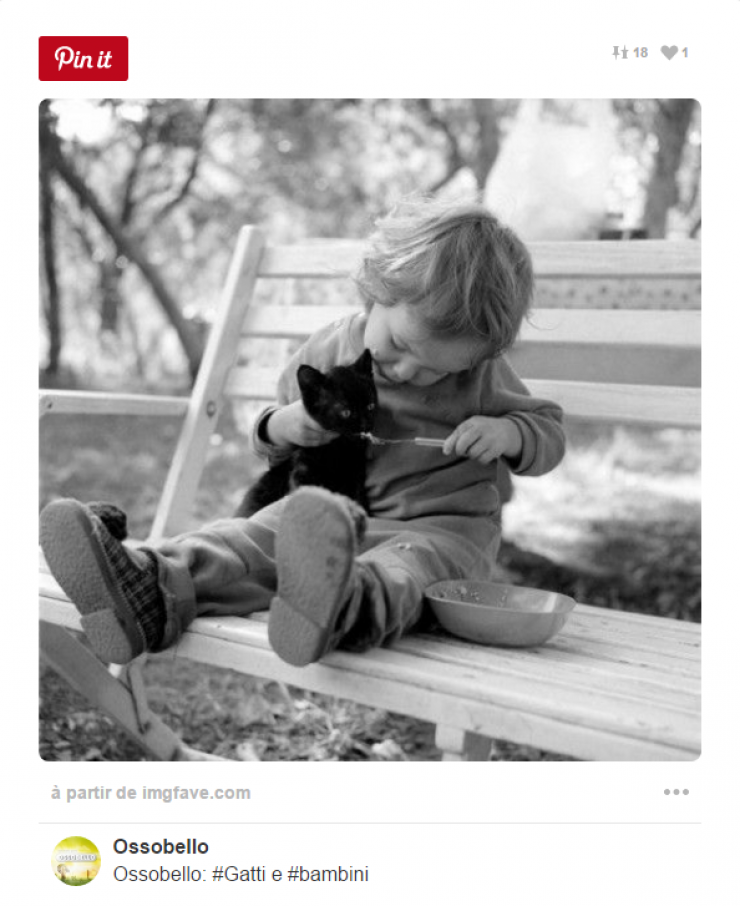 Illustration de l'article : Tous ceux qui pensent que les enfants ne devraient pas avoir d'animaux doivent voir ces 26 photos...