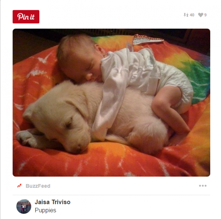 Illustration de l'article : Tous ceux qui pensent que les enfants ne devraient pas avoir d'animaux doivent voir ces 26 photos...