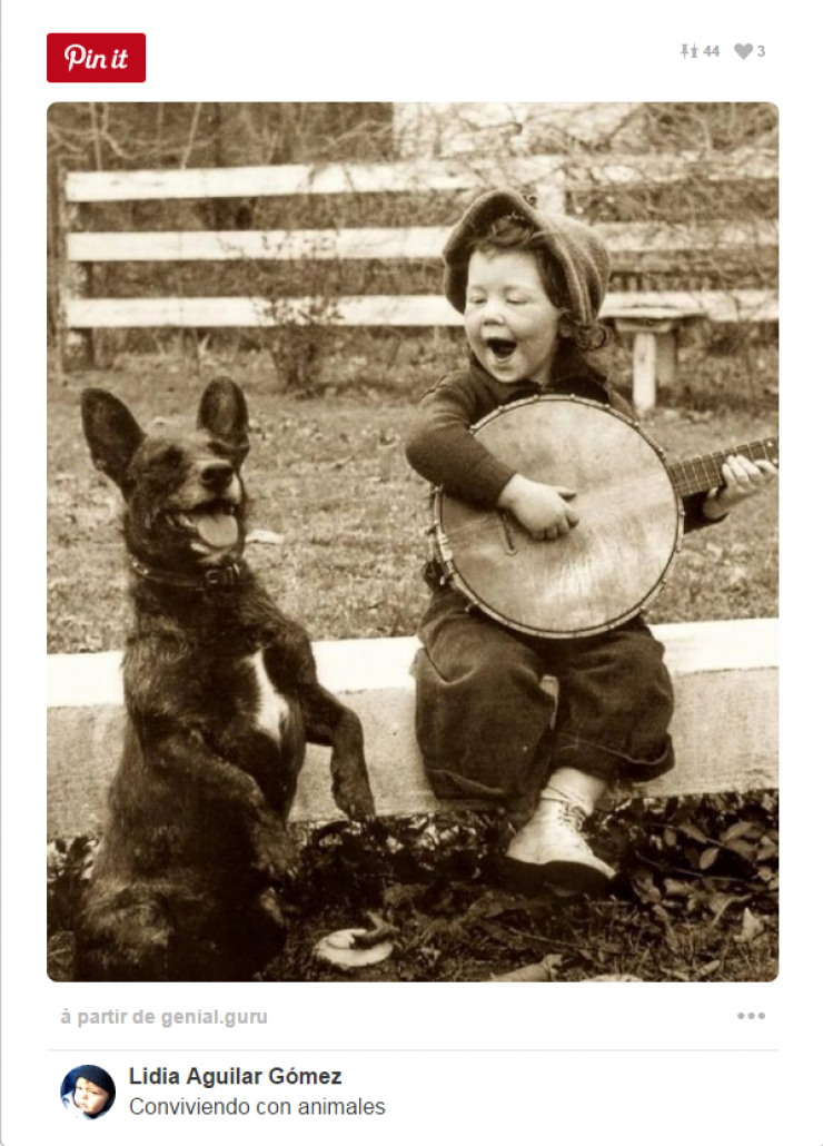 Illustration de l'article : Tous ceux qui pensent que les enfants ne devraient pas avoir d'animaux doivent voir ces 26 photos...