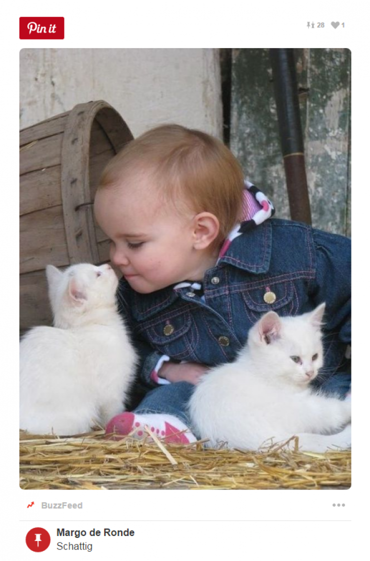 Illustration de l'article : Tous ceux qui pensent que les enfants ne devraient pas avoir d'animaux doivent voir ces 26 photos...