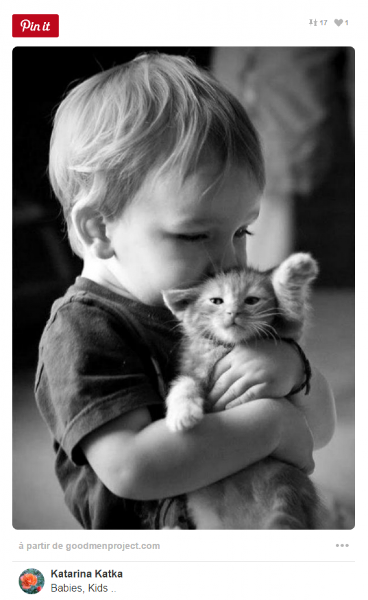 Illustration de l'article : Tous ceux qui pensent que les enfants ne devraient pas avoir d'animaux doivent voir ces 26 photos...