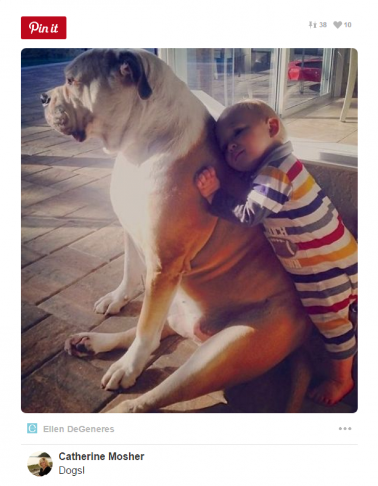 Illustration de l'article : Tous ceux qui pensent que les enfants ne devraient pas avoir d'animaux doivent voir ces 26 photos...