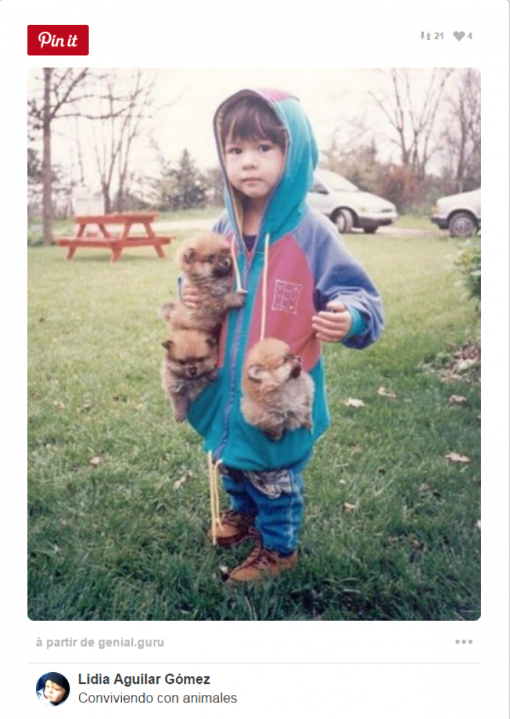 Illustration de l'article : Tous ceux qui pensent que les enfants ne devraient pas avoir d'animaux doivent voir ces 26 photos...