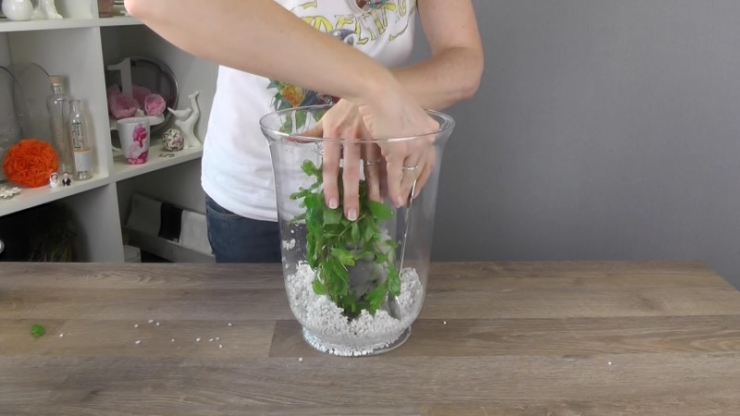 Illustration de l'article : Un vase plac&eacute; dans un autre, quelques cailloux ajout&eacute;s et un peu d'eau pour cette jolie r&eacute;alisation !