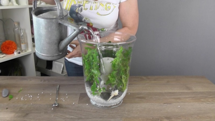 Illustration de l'article : Un vase plac&eacute; dans un autre, quelques cailloux ajout&eacute;s et un peu d'eau pour cette jolie r&eacute;alisation !