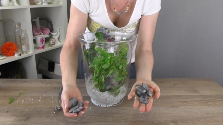 Illustration de l'article : Un vase plac&eacute; dans un autre, quelques cailloux ajout&eacute;s et un peu d'eau pour cette jolie r&eacute;alisation !