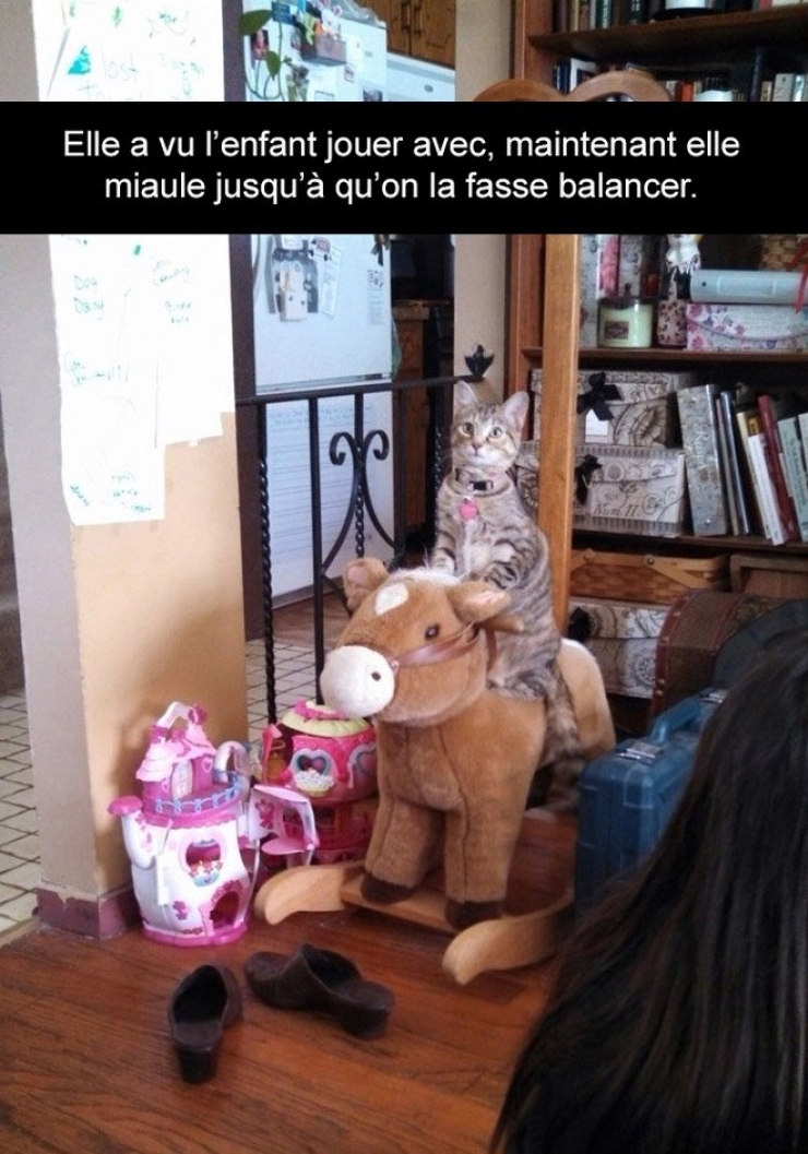 Illustration de l'article : Attention, les chats envahissent Snapchat et leurs maîtres ne manquent pas d'humour ! (20 photos)