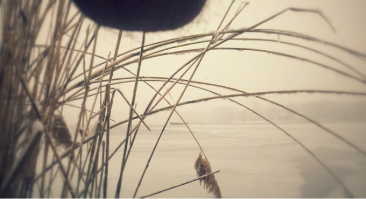 Illustration de l'article : Des paysages, des testicules et des photos... Vous connaissez cette mode appelée le Nutscaping?