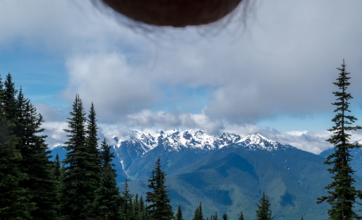 Illustration de l'article : Des paysages, des testicules et des photos... Vous connaissez cette mode appelée le Nutscaping?