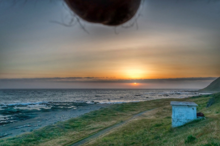 Illustration de l'article : Des paysages, des testicules et des photos... Vous connaissez cette mode appelée le Nutscaping?