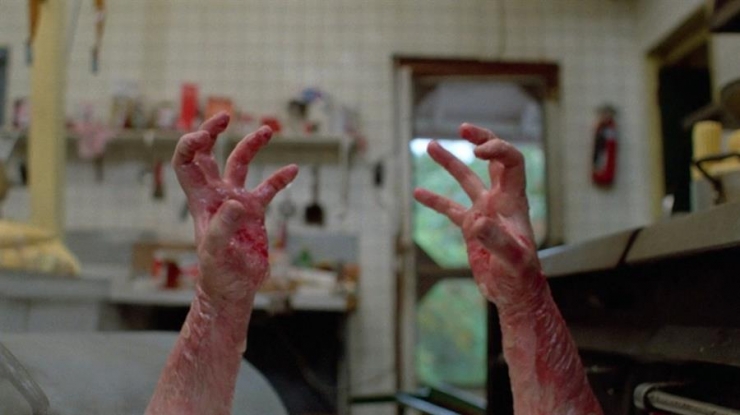 Illustration de l'article : 19 films d'horreur &agrave; voir au moins une fois ! Les connaissez-vous tous ?