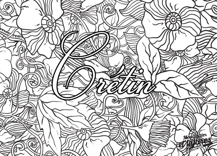 Illustration de l'article : Les adultes ont enfin leur cahier d'injures &agrave; colorier... De quoi se calmer apr&egrave;s une bonne journ&eacute;e de tension !