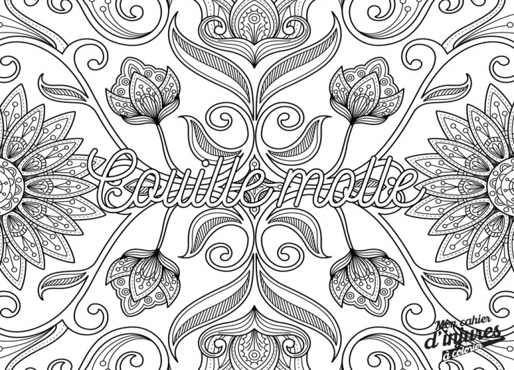 Illustration de l'article : Les adultes ont enfin leur cahier d'injures &agrave; colorier... De quoi se calmer apr&egrave;s une bonne journ&eacute;e de tension !