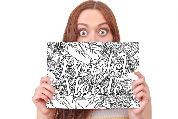 Illustration de l'article : Les adultes ont enfin leur cahier d'injures &agrave; colorier... De quoi se calmer apr&egrave;s une bonne journ&eacute;e de tension !