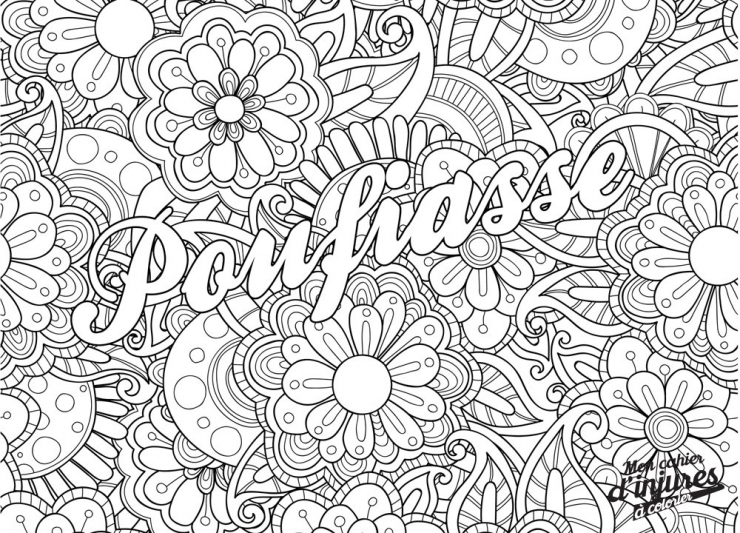 Illustration de l'article : Les adultes ont enfin leur cahier d'injures &agrave; colorier... De quoi se calmer apr&egrave;s une bonne journ&eacute;e de tension !