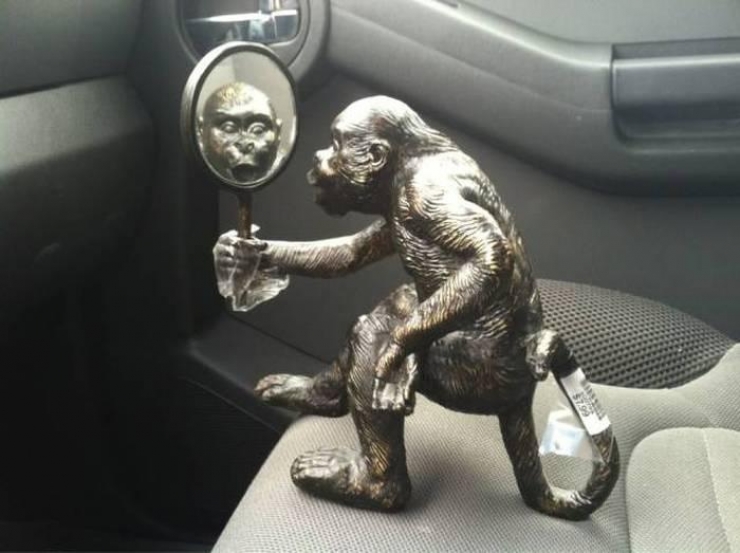 Illustration de l'article : 18 objets insolites achetés dans des brocantes