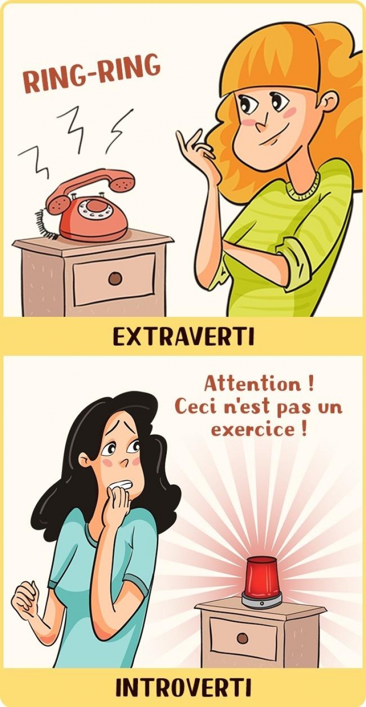Illustration de l'article : Extraverti Vs Introverti: 12 illustrations qui montrent comment les deux côtés perçoivent les choses...