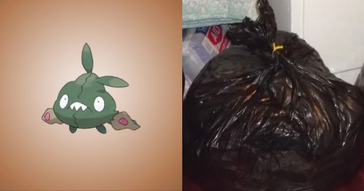 Illustration de l'article : Saviez-vous que ces 15 Pokemon existaient vraiment dans la réalité ?