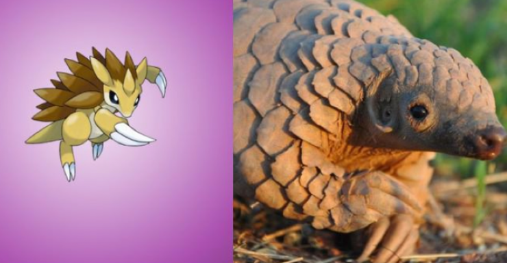 Illustration de l'article : Saviez-vous que ces 15 Pokemon existaient vraiment dans la réalité ?