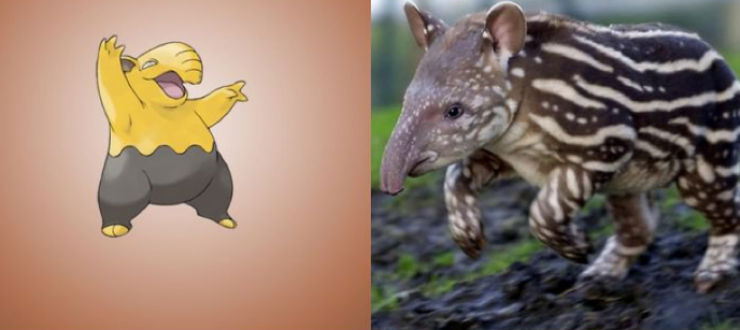 Illustration de l'article : Saviez-vous que ces 15 Pokemon existaient vraiment dans la réalité ?