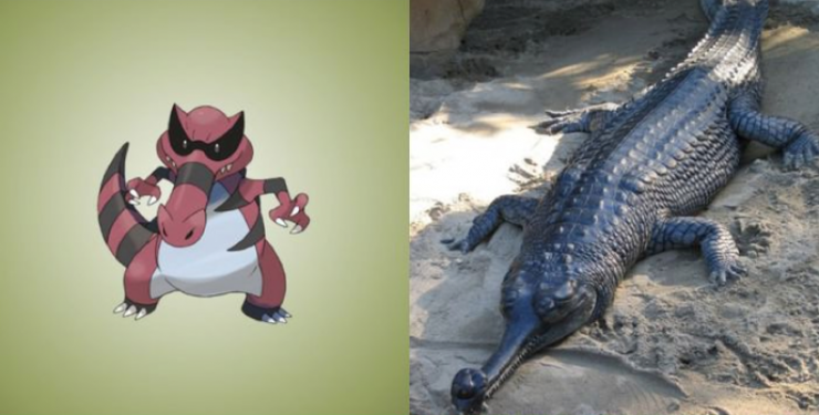 Illustration de l'article : Saviez-vous que ces 15 Pokemon existaient vraiment dans la réalité ?