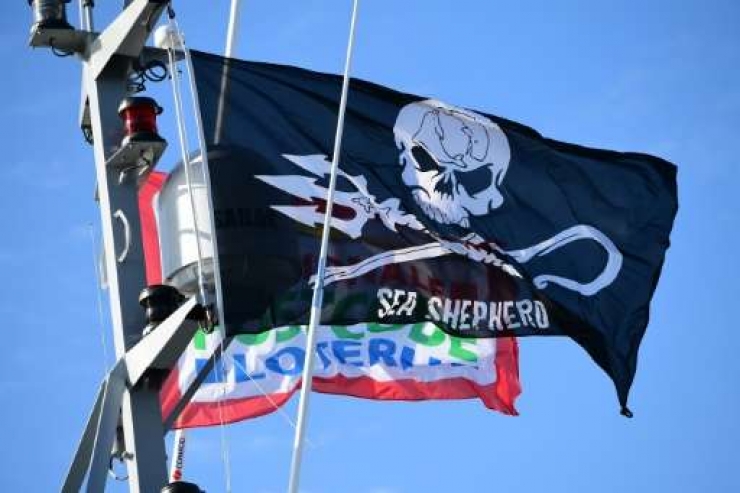 Illustration de l'article : La Sea Shepherd a enfin une arme radicale contre les chasseurs de baleines ! 