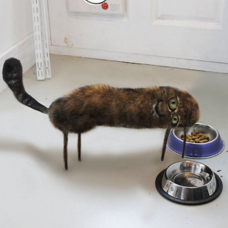 Illustration de l'article : Le coup de cœur Instagram : Ce papa donne vie aux dessins de son enfant de 6 ans...